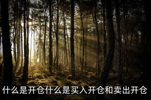 開倉(cāng)買需要什么手續(xù),期貨憑什么開倉(cāng)