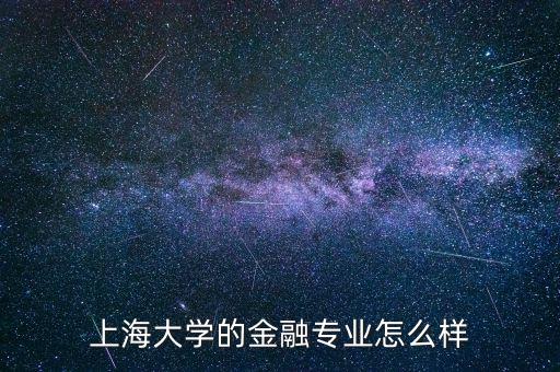上海大學(xué)的金融專(zhuān)業(yè)怎么樣
