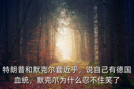 特朗普和默克爾套近乎，說自己有德國血統(tǒng)，默克爾為什么忍不住笑了