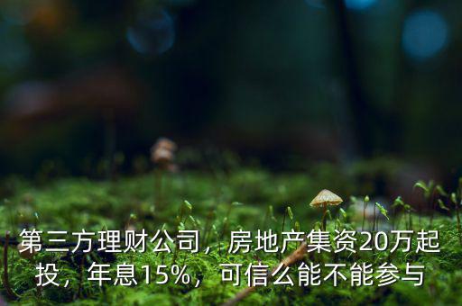 第三方理財公司，房地產集資20萬起投，年息15%，可信么能不能參與