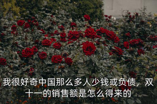 我很好奇中國那么多人少錢或負債，雙十一的銷售額是怎么得來的