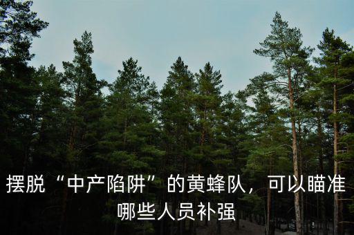 擺脫“中產(chǎn)陷阱”的黃蜂隊(duì)，可以瞄準(zhǔn)哪些人員補(bǔ)強(qiáng)