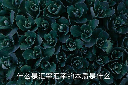 什么是匯率水平,匯率的本質(zhì)是什么