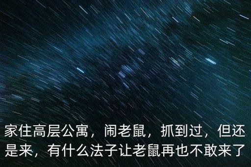 高層發(fā)現老鼠怎么辦,老鼠特別多怎么辦
