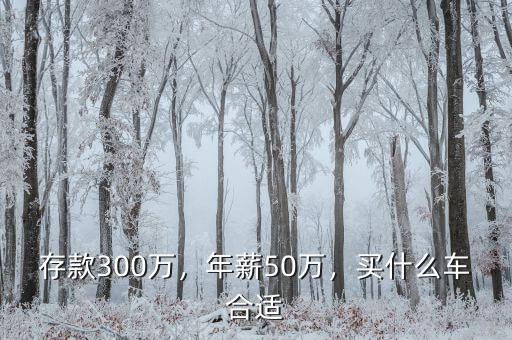 存款300萬，年薪50萬，買什么車合適