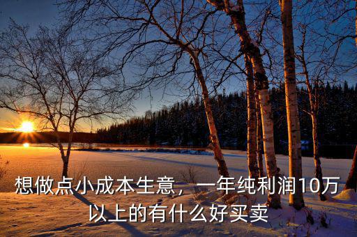 想做點(diǎn)小成本生意，一年純利潤(rùn)10萬(wàn)以上的有什么好買賣