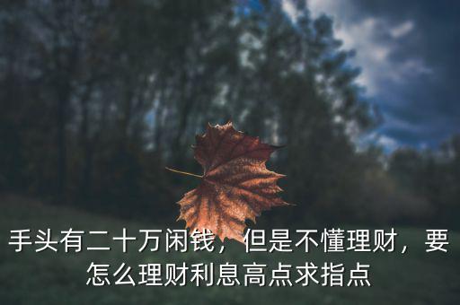 手頭有二十萬閑錢，但是不懂理財，要怎么理財利息高點求指點