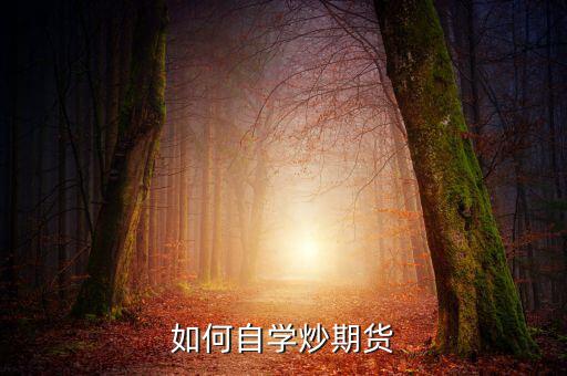 如何自學炒期貨