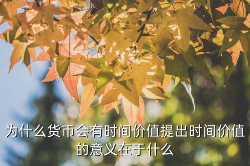 為什么貨幣價(jià)值,為什么貨幣會(huì)有時(shí)間價(jià)值