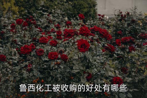 魯西化工能漲到多少,魯西化工股票還會(huì)漲嗎