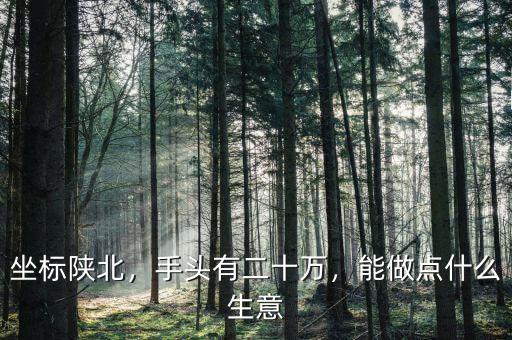 坐標陜北，手頭有二十萬，能做點什么生意