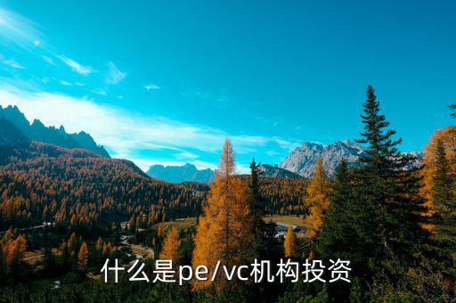 風(fēng)投pe是什么,什么是pe/vc機構(gòu)投資
