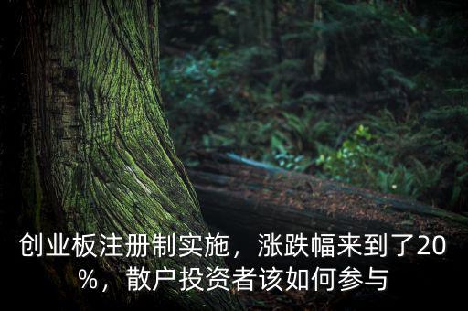 創(chuàng)業(yè)板注冊(cè)制實(shí)施，漲跌幅來到了20%，散戶投資者該如何參與