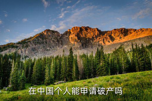 在中國個(gè)人破產(chǎn)意味著什么,在中國個(gè)人能申請破產(chǎn)嗎