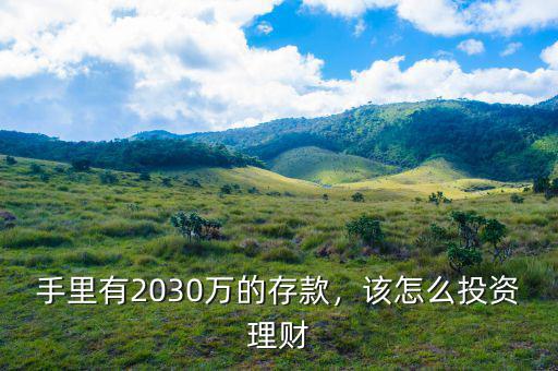 手里有2030萬的存款，該怎么投資理財