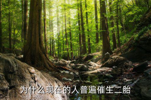 為什么要鼓勵(lì)生二胎,現(xiàn)在國(guó)家鼓勵(lì)生二胎