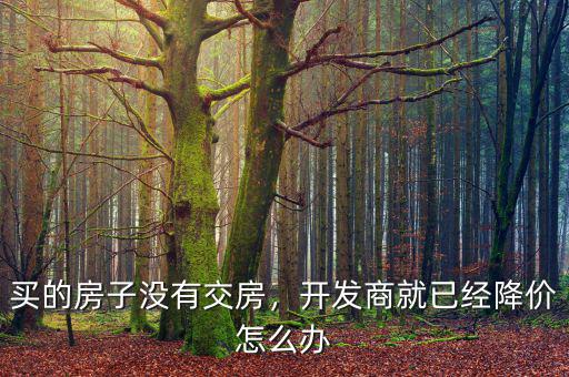 開發(fā)商降價(jià)業(yè)主怎么辦,開發(fā)商降價(jià)賣樓