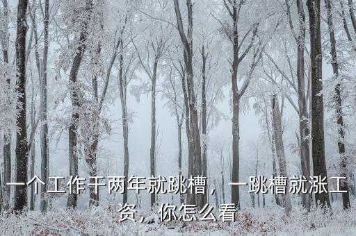 一個(gè)工作干兩年就跳槽，一跳槽就漲工資，你怎么看