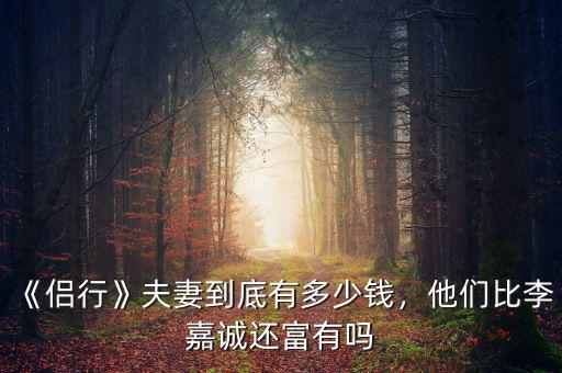 《侶行》夫妻到底有多少錢(qián)，他們比李嘉誠(chéng)還富有嗎