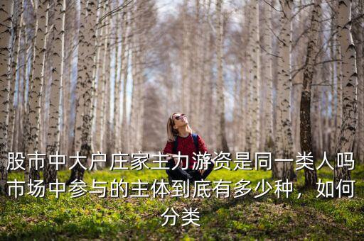 股市中大戶莊家主力游資是同一類人嗎市場中參與的主體到底有多少種，如何分類