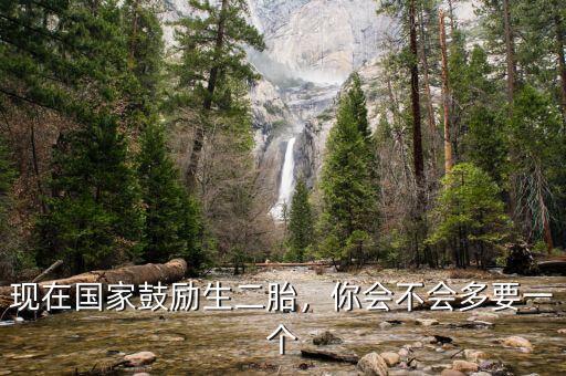 現(xiàn)在國(guó)家鼓勵(lì)生二胎，你會(huì)不會(huì)多要一個(gè)