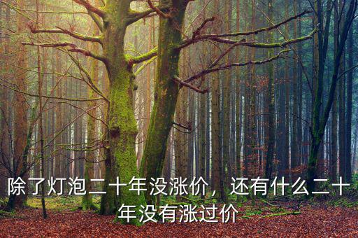 除了燈泡二十年沒漲價(jià)，還有什么二十年沒有漲過價(jià)