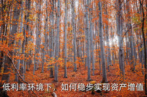 低利率環(huán)境下，如何穩(wěn)步實(shí)現(xiàn)資產(chǎn)增值