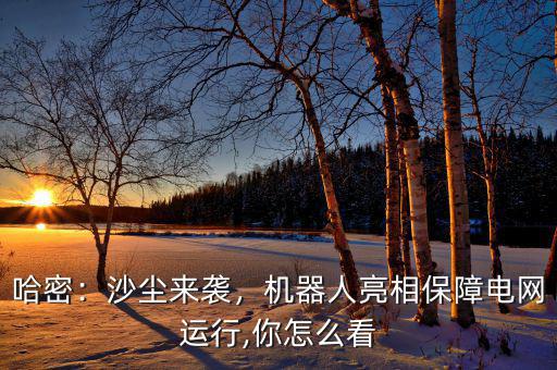 哈密：沙塵來襲，機(jī)器人亮相保障電網(wǎng)運(yùn)行,你怎么看