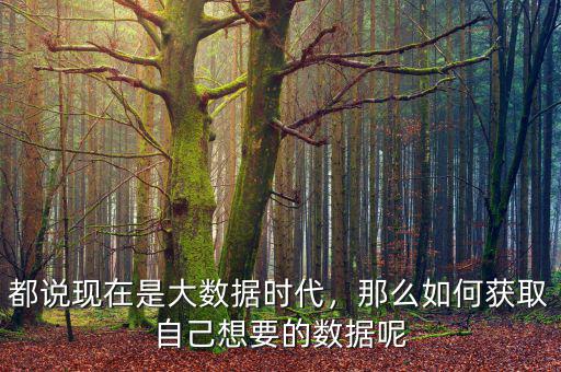 大數(shù)據(jù)怎么獲得,都說現(xiàn)在是大數(shù)據(jù)時代