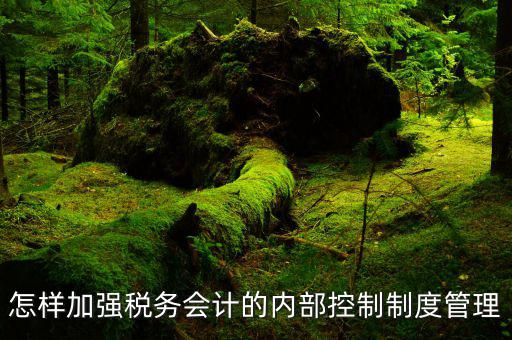稅務(wù)部門(mén)內(nèi)部控制建設(shè)是什么，稅務(wù)局內(nèi)控存在的問(wèn)題