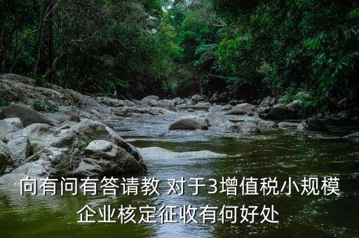核定征收有什么好處，向有問有答請教 對于3增值稅小規(guī)模企業(yè)核定征收有何好處