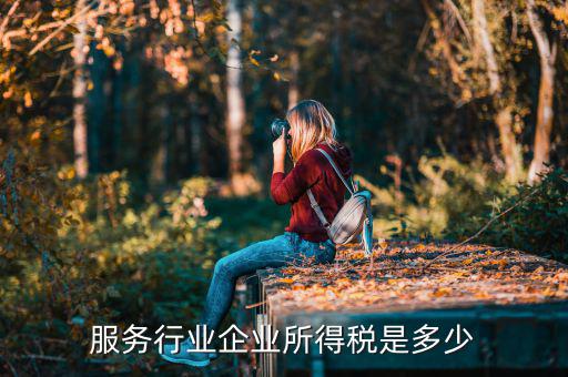 什么是接受服務企業(yè)所得稅，服務行業(yè)企業(yè)所得稅是多少