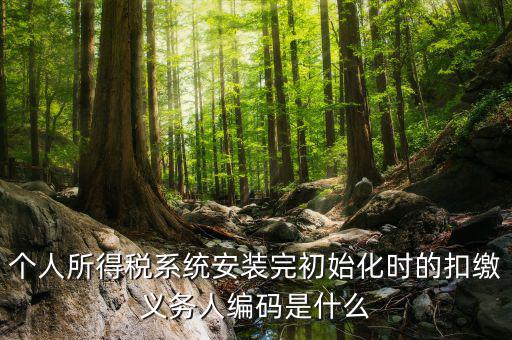 扣繳人義務(wù)編碼是什么，扣繳義務(wù)人編碼是什么啊