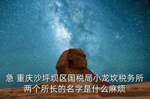 稅務(wù)所所長什么級別，地稅局基層稅務(wù)所屬什么層級