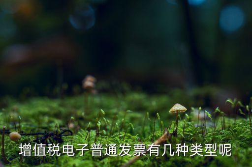 普通發(fā)票有什么種類(lèi)，發(fā)票分幾種
