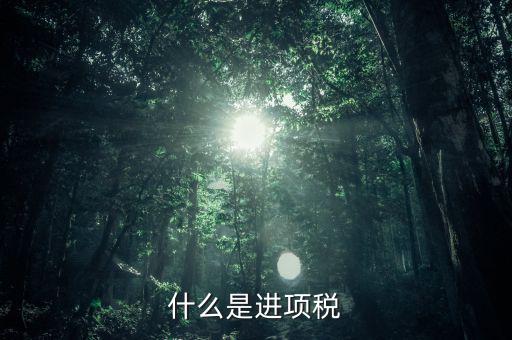 進(jìn)項是指什么，什么是進(jìn)項稅
