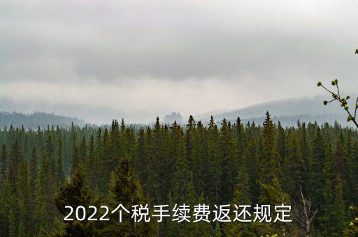 個(gè)稅返手續(xù)費(fèi)什么時(shí)間，退個(gè)稅手續(xù)費(fèi)2022年新規(guī)定