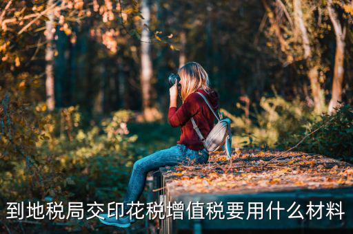 賬簿印花稅去地稅買要帶什么資料，購買印花稅帶什么資料