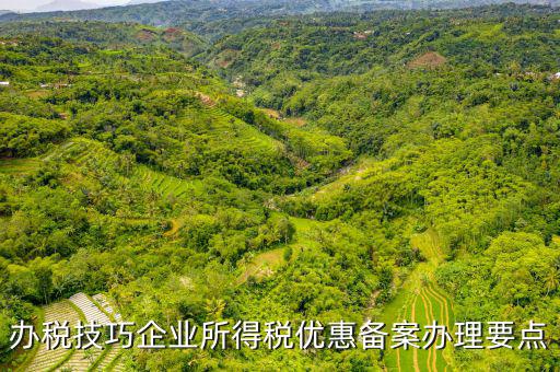 稅收優(yōu)惠事項(xiàng)備案項(xiàng)目是什么，企業(yè)所得稅需備案的事項(xiàng)包括哪些