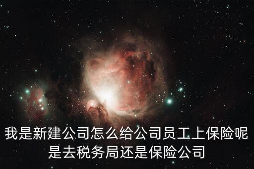 稅務局保險是什么，稅務局讓企業(yè)交得規(guī)費和參保費是什么