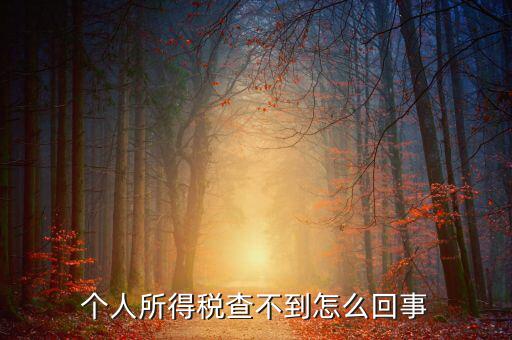 個(gè)人所得稅扣減為什么查不到，個(gè)人所得稅為什么不能在網(wǎng)上查找