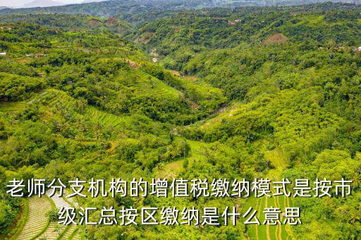 什么叫匯總繳納增值稅，老師分支機(jī)構(gòu)的增值稅繳納模式是按市級(jí)匯總按區(qū)繳納是什么意思