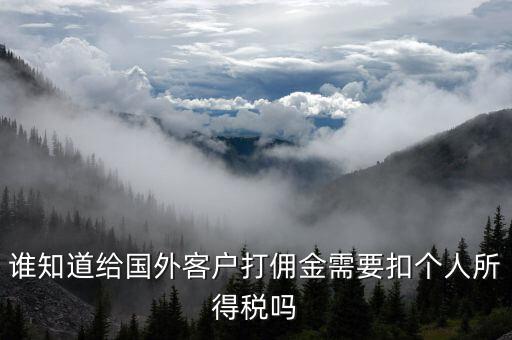 收到境外傭金交什么稅，關(guān)于國(guó)外支付國(guó)內(nèi)傭金方面的稅務(wù)問(wèn)題