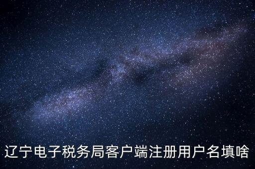 遼寧省網(wǎng)上稅務局登錄需要什么，遼寧電子稅務局客戶端注冊用戶名填啥