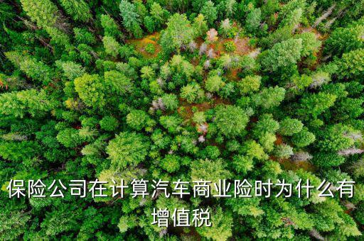 車輛保險增值稅是什么意思，保險公司在計算汽車商業(yè)險時為什么有增值稅