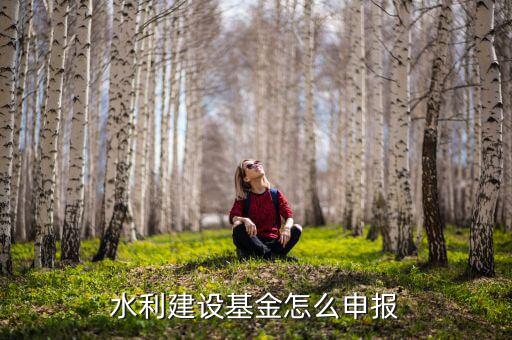 地方水利建設基金什么時間申報，水利建設基金怎么申報