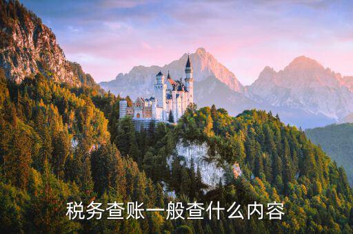 稅務專項檢查查什么，稅務檢查主要有哪些內(nèi)容