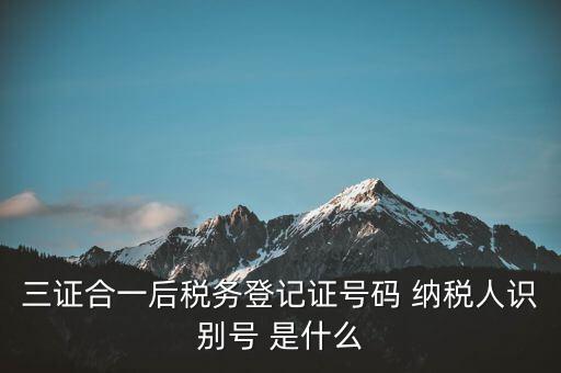 三證合一納稅識別號是什么，三證合一后納稅人識別號是什么意思