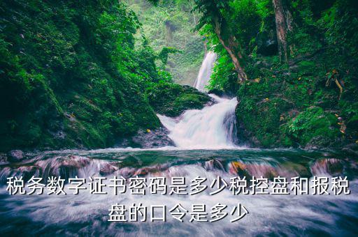 稅控盤(pán)稅務(wù)數(shù)字證書(shū)密碼是什么，稅控證書(shū)密碼是多少只有可能是8位嗎