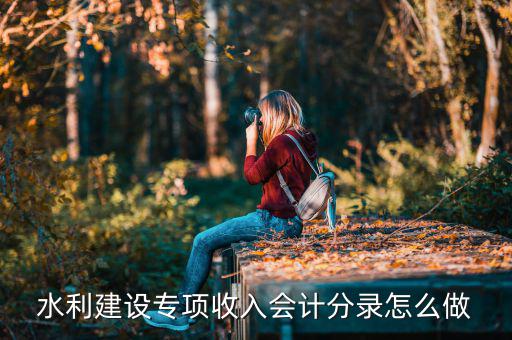 水利建設專項收入是什么，水利建設專項收入會計分錄怎么做
